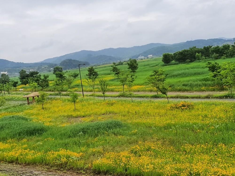 억새정원 펜션 (Buyeo Eoksae Jeongwon Pension)