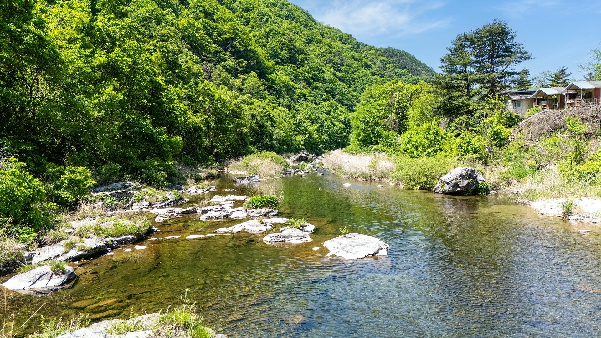Gapyeong Paradiso Kids Poolvilla