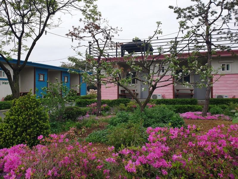 논산 애플팜펜션 (Nonsan Apple Farm Pension)