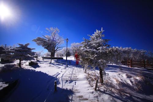 모나 용평 (Mona YongPyong)