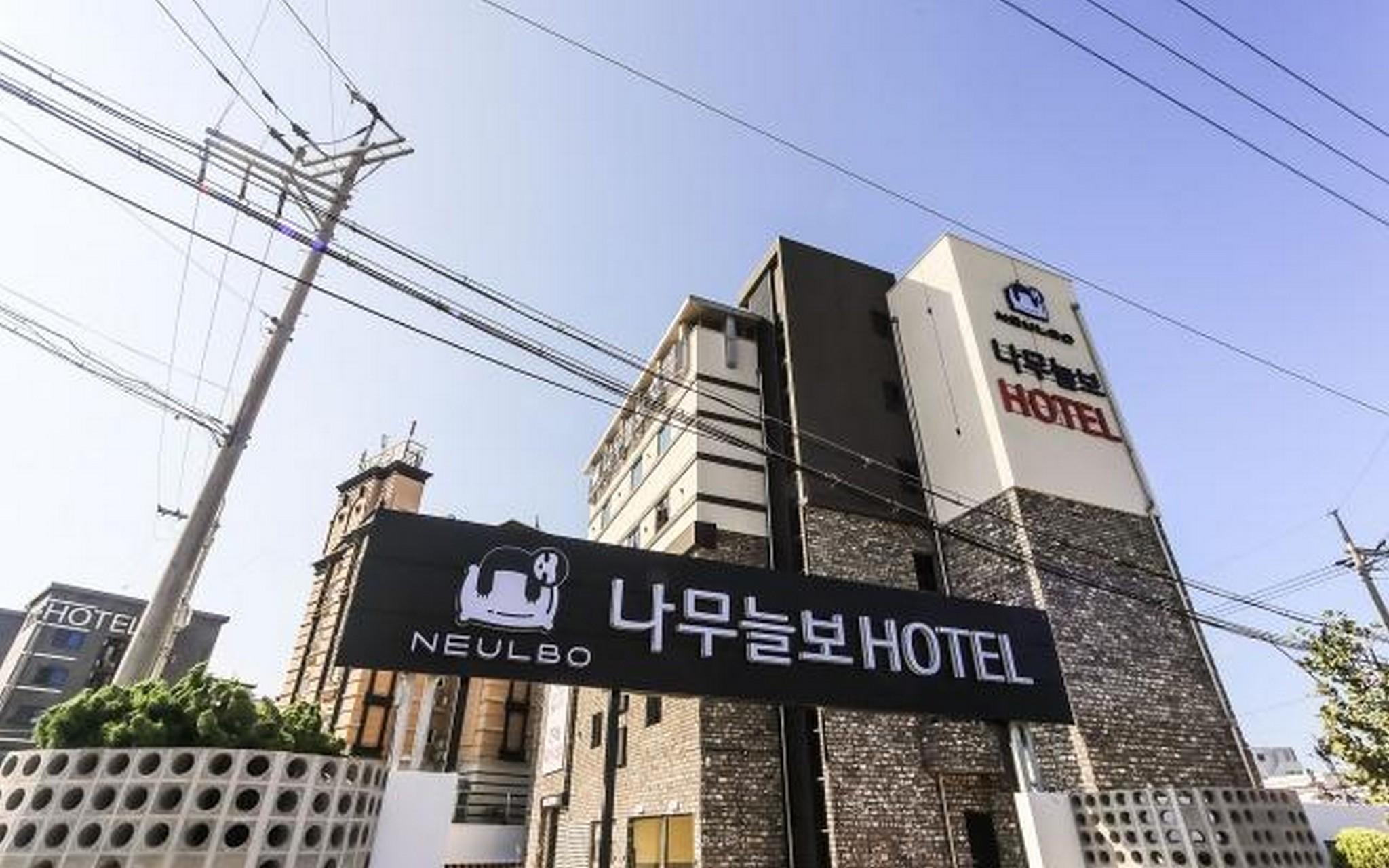 울산 일산 나무늘보 (Ulsan Ilsan Namuneulbo)