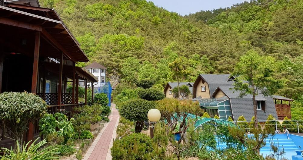 밀양 비타민 (Miryang Vitamins)