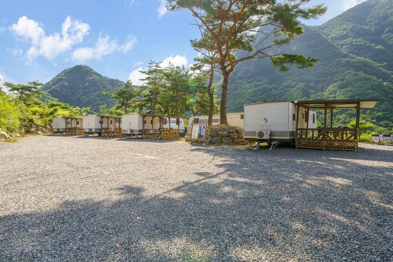 단양 파인카라반캠핑장 (Danyang Pine Caravan Camping)