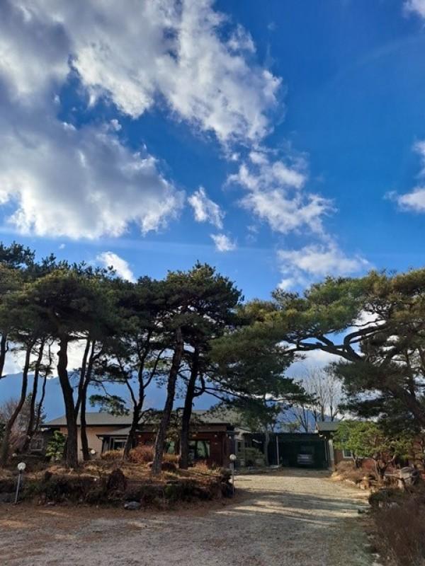영주 솔마음황토민박펜션 (Yeongju Solmaeum Hwangto B&B Pension)
