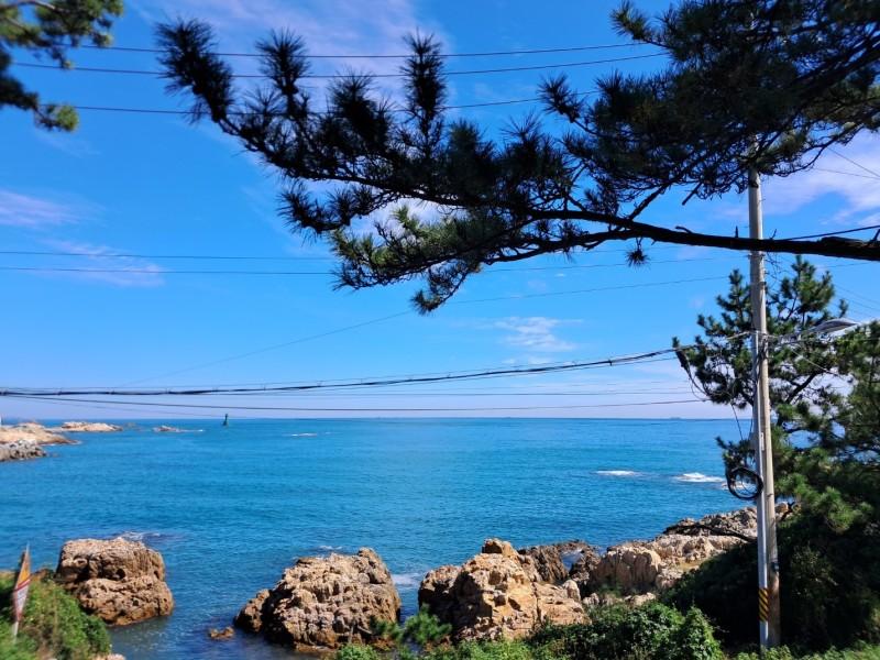 부산 고마펜션 (Busan Goma Pension)