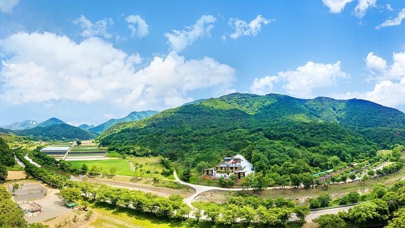 괴산 캠프클럽펜션 (Goesan Camp Club Pension)
