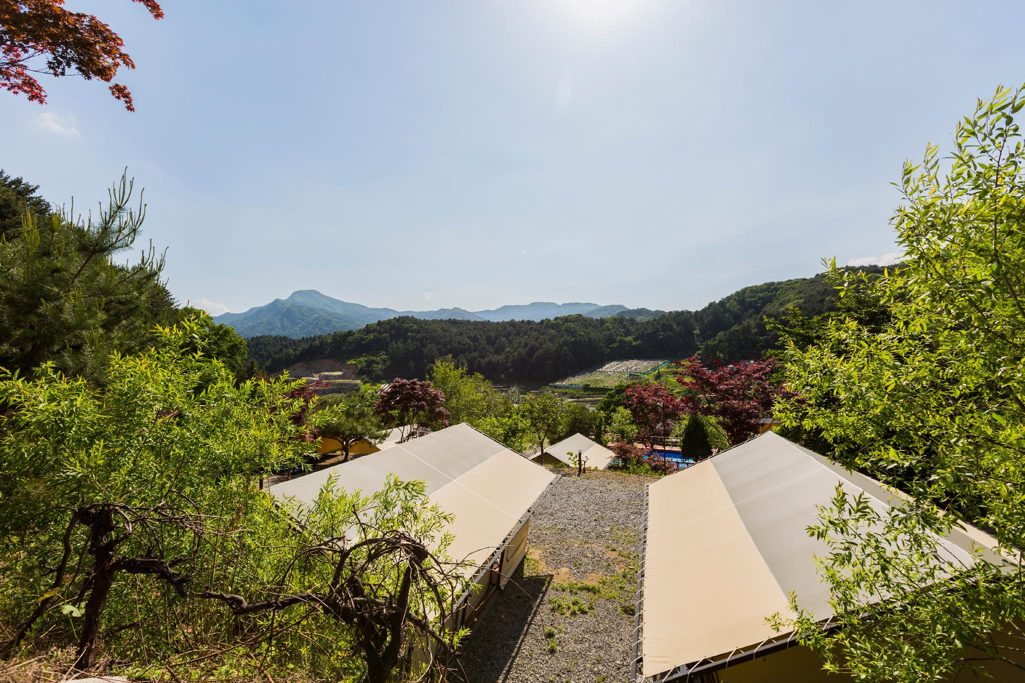 가평 캡틴 카라반 & 글램핑 (Gapyeong Captain Caravan and Glamping)