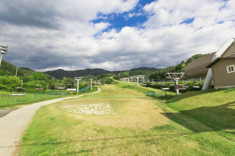 베어스타운 (Bears Town)