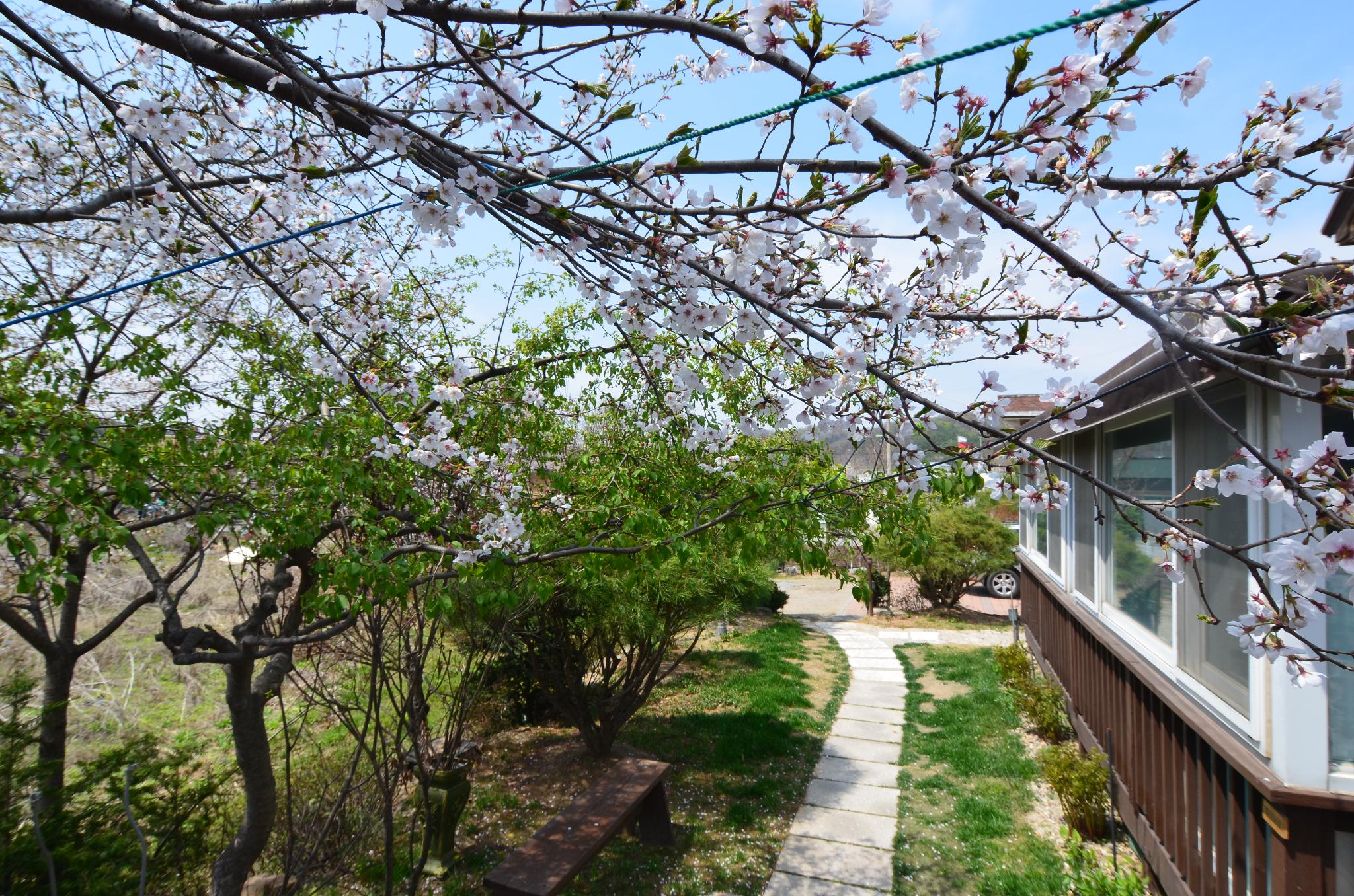 적성면의 프라이빗 하우스 (43m², 침실 1개, 프라이빗 욕실 1개) (pajugamaksan pension(summer))