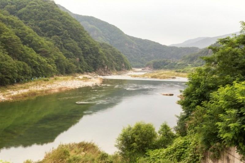 인제 민들레향기펜션 (Inje Dandelion Aroma Pension)