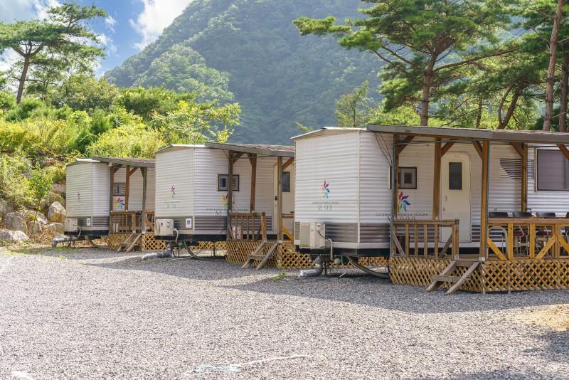 단양 파인카라반캠핑장 (Danyang Pine Caravan Camping)