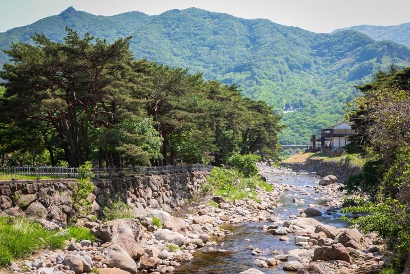 구례 지리산녹차별펜션 (Gurye Jirisan Green Tea Star Pension)