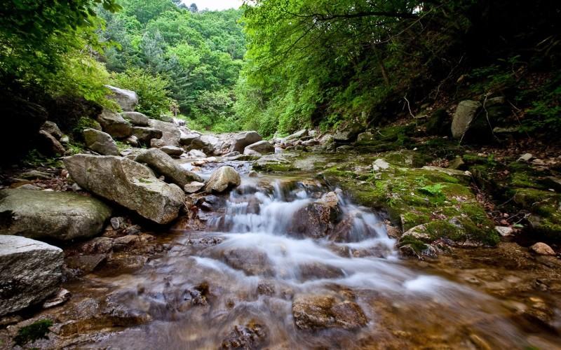 포천 조이토마토펜션 (Pocheon Joey Tomato Pension)