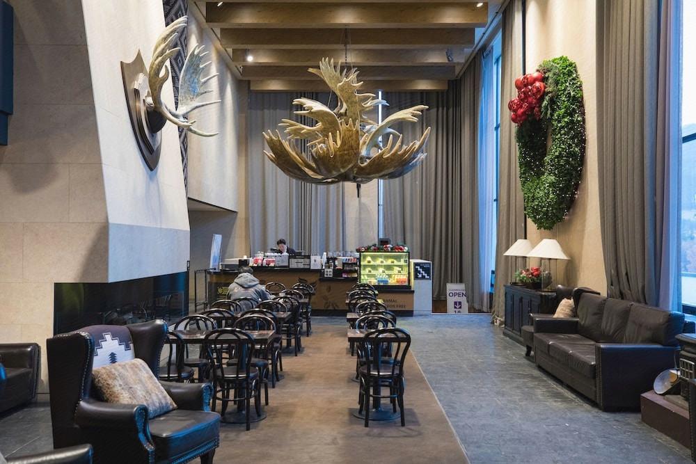 베어스타운 (Bears Town)