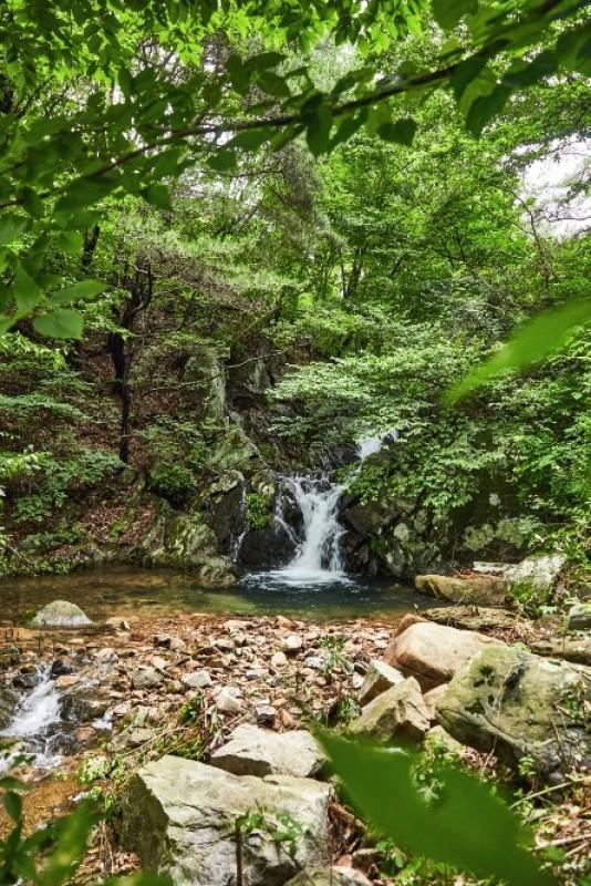 서산 자연의소리펜션 (Seosan Nature Sound Pension)