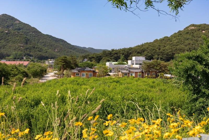 고창 황토복분자펜션 (Gochang Hwangto Bokbunja Pension)