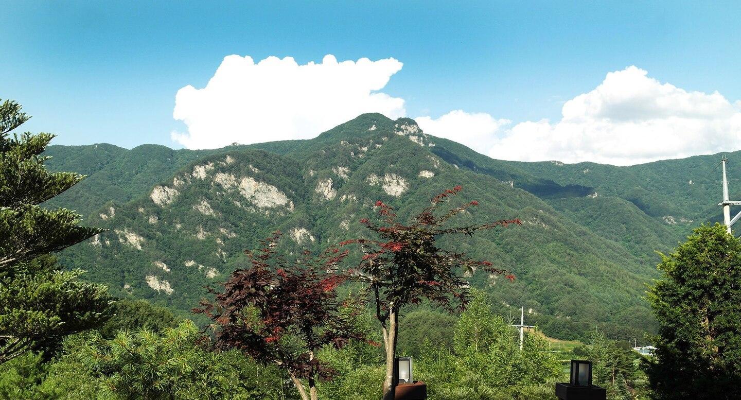 대화면의 프라이빗 하우스 (50m², 침실 1개, 프라이빗 욕실 1개) (D. 소나무(복층,독립된 캐빈형 객실))