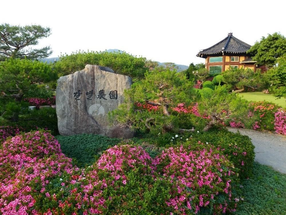 왕실의 펜션 (Boseong Wangsile pension)
