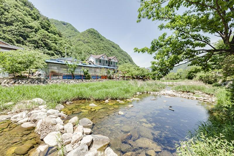 단양 미소와여유펜션 (Danyang Smile and Leisure Pension)