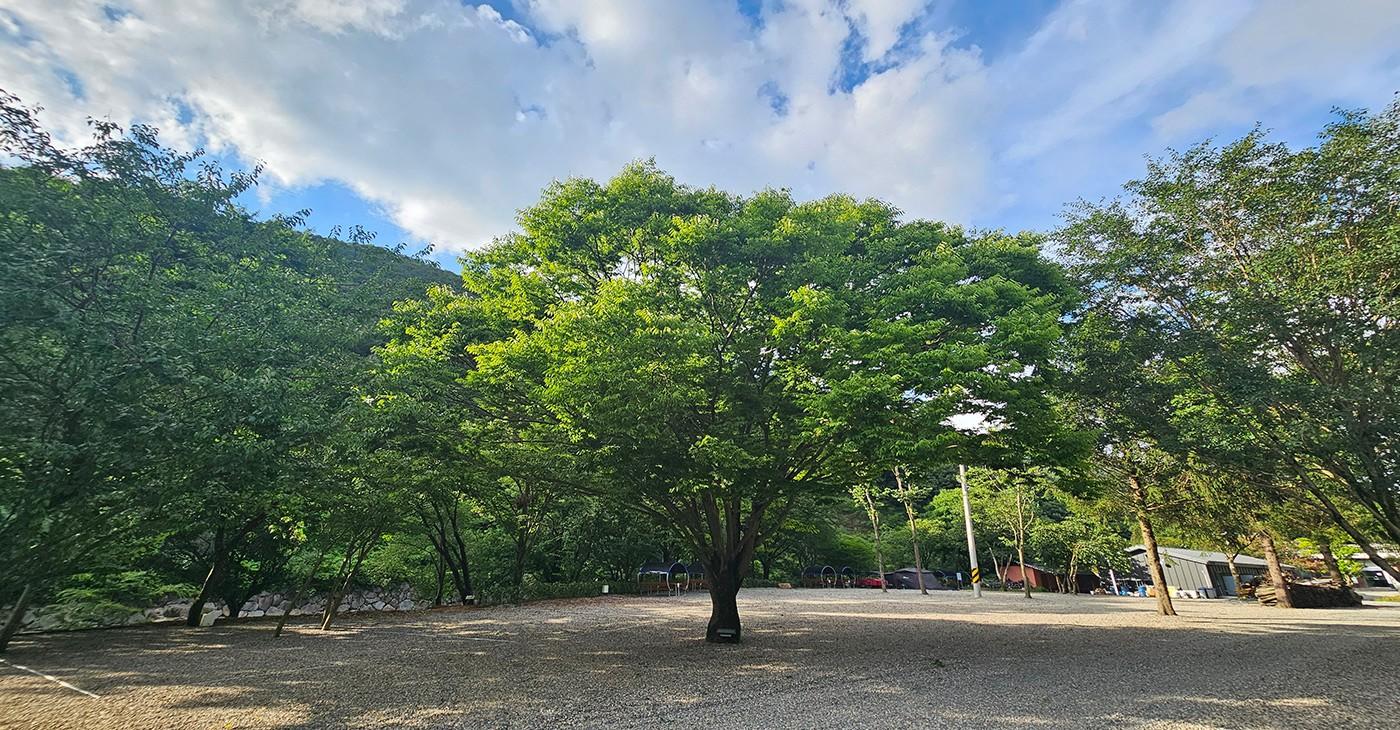 완주 더휴 캠핑장 앤 카페 (Wanju The Hue Campground N Cafe)
