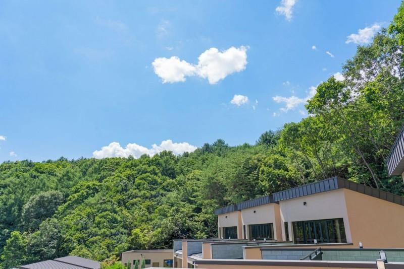 춘천(남이섬) 노블풀빌라 (Chuncheon (Nami Island) Noble Pool Villa)