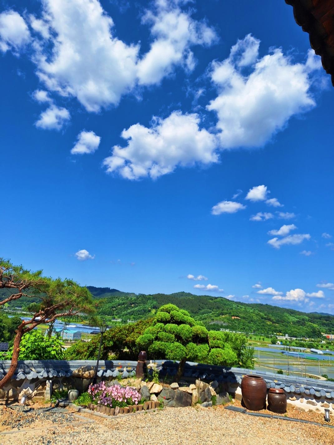 반포면의 프라이빗 하우스 (5000m², 침실 1개, 프라이빗 욕실 1개) (세종시에위치한 1500평대지에 웅장한외관과고급인테리어,탁트인시원한뷰까지휴식과힐링의최적의장소)