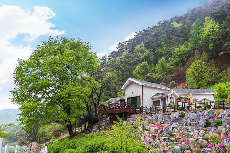 단양 풀꽃나무펜션 (Danyang Pulkkotnamu Pension)