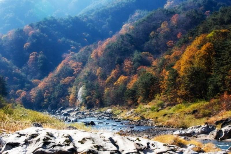 인제 민들레향기펜션 (Inje Dandelion Aroma Pension)