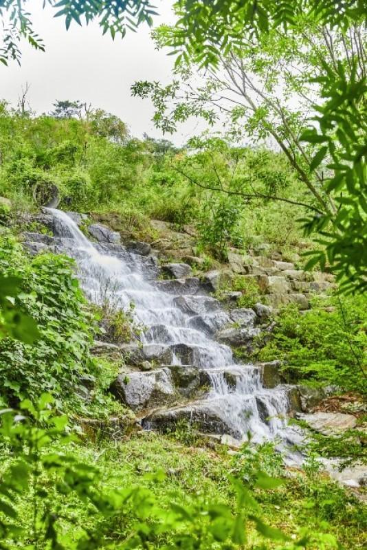 서산 자연의소리펜션 (Seosan Nature Sound Pension)