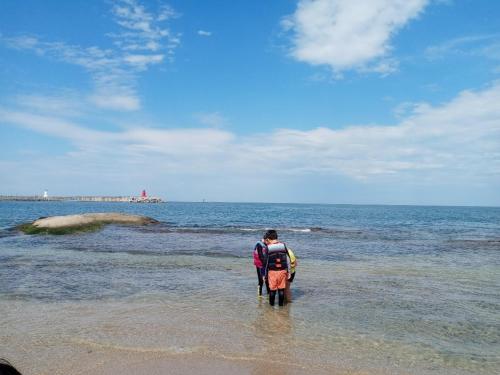 Ocean & sunrise View-10 seconds of beach walk - Three bedrooms