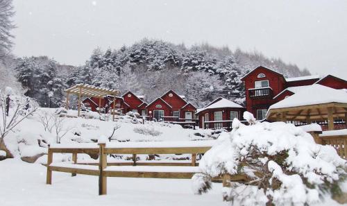 시실리 펜션 (Sisilli Pension)