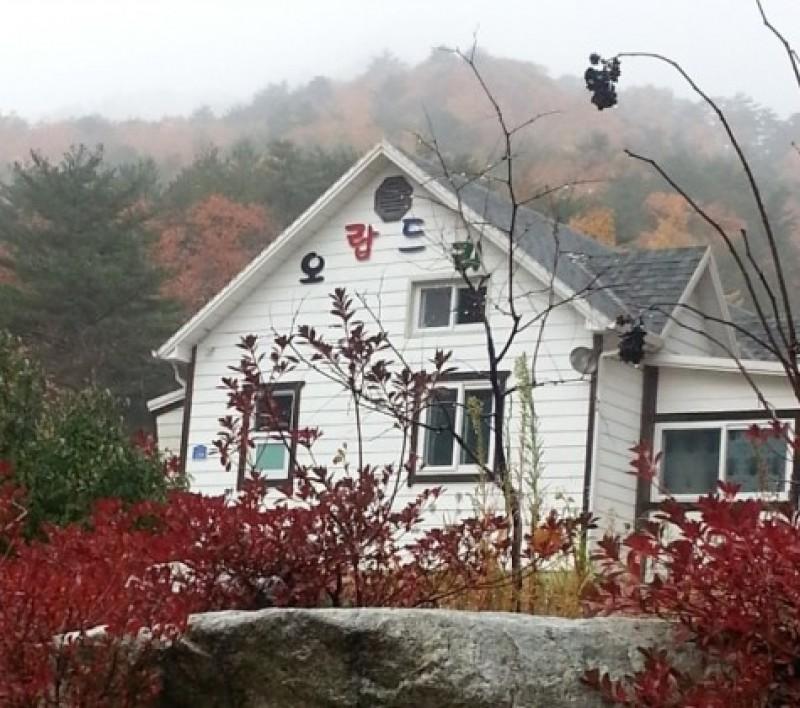 강릉 오랍드리펜션 (Gangneung Orabdry Pension)