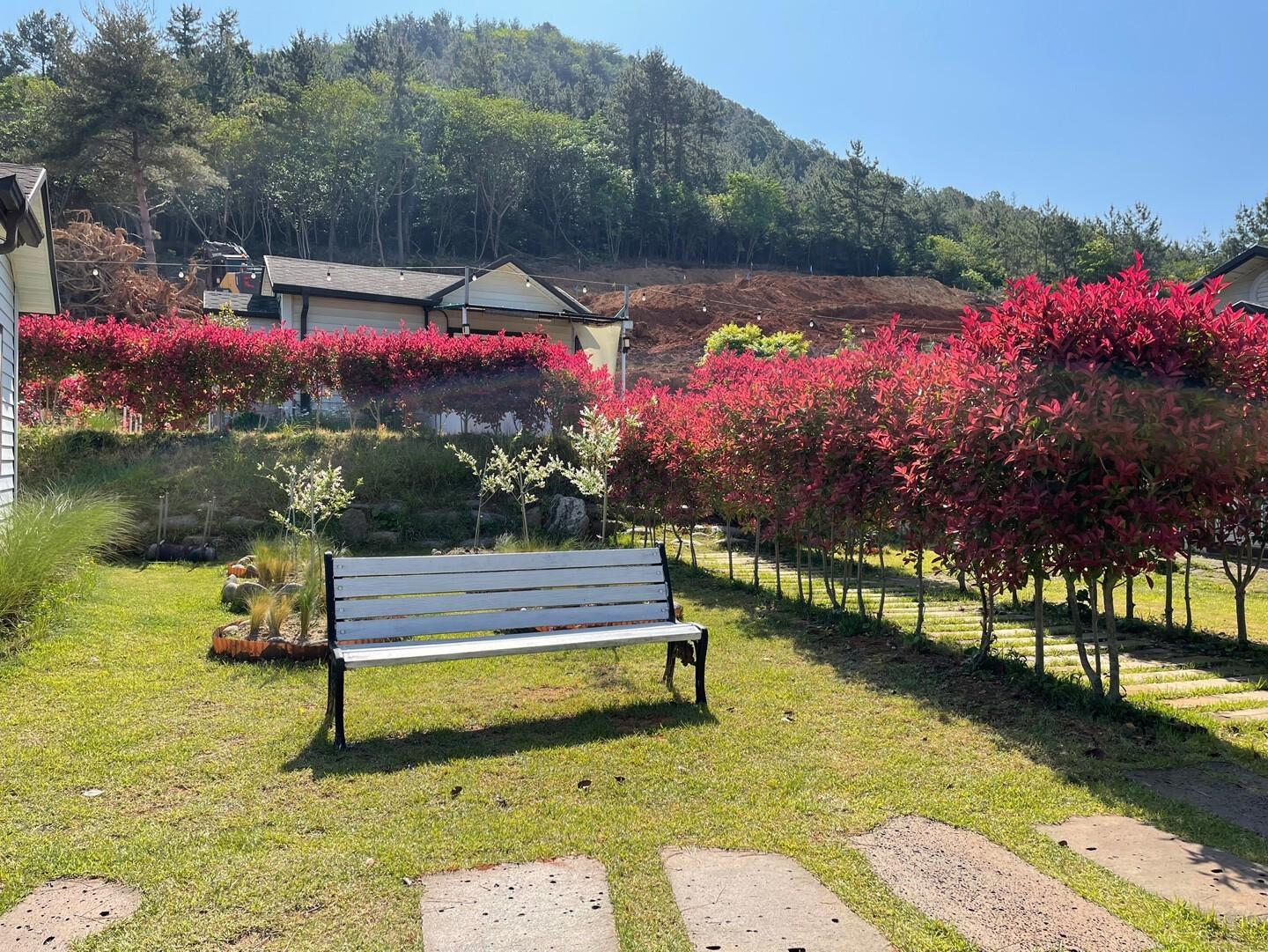 해금 펜션 (Wando Haegeum Pension)