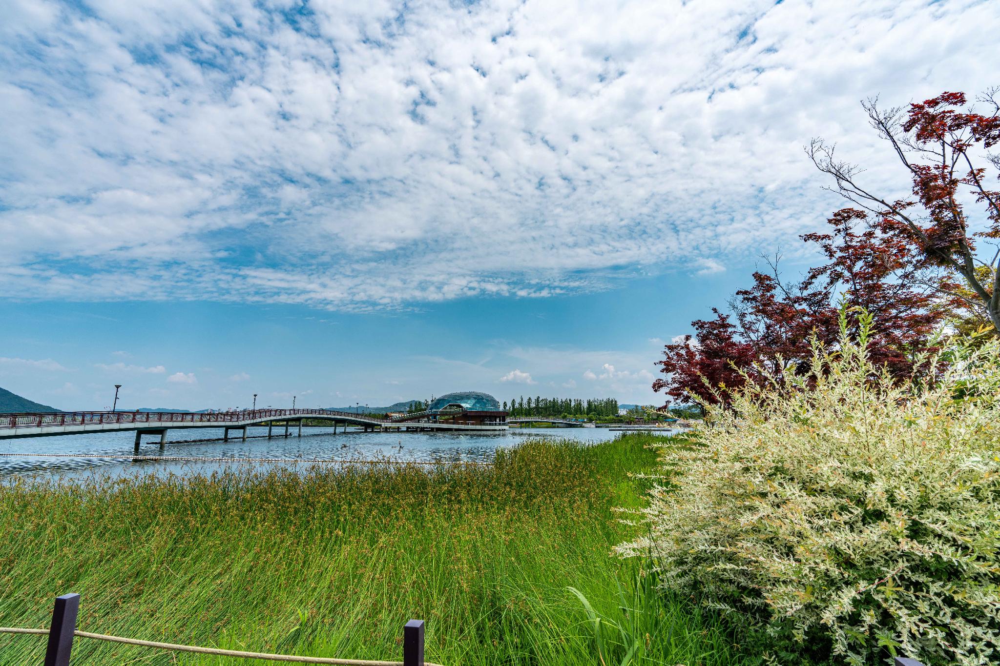 라고바움 호텔 (Lagobaum Hotel)