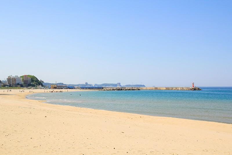 양양 해변산장펜션 (Yangyang Haebyeonsanjang Pension)