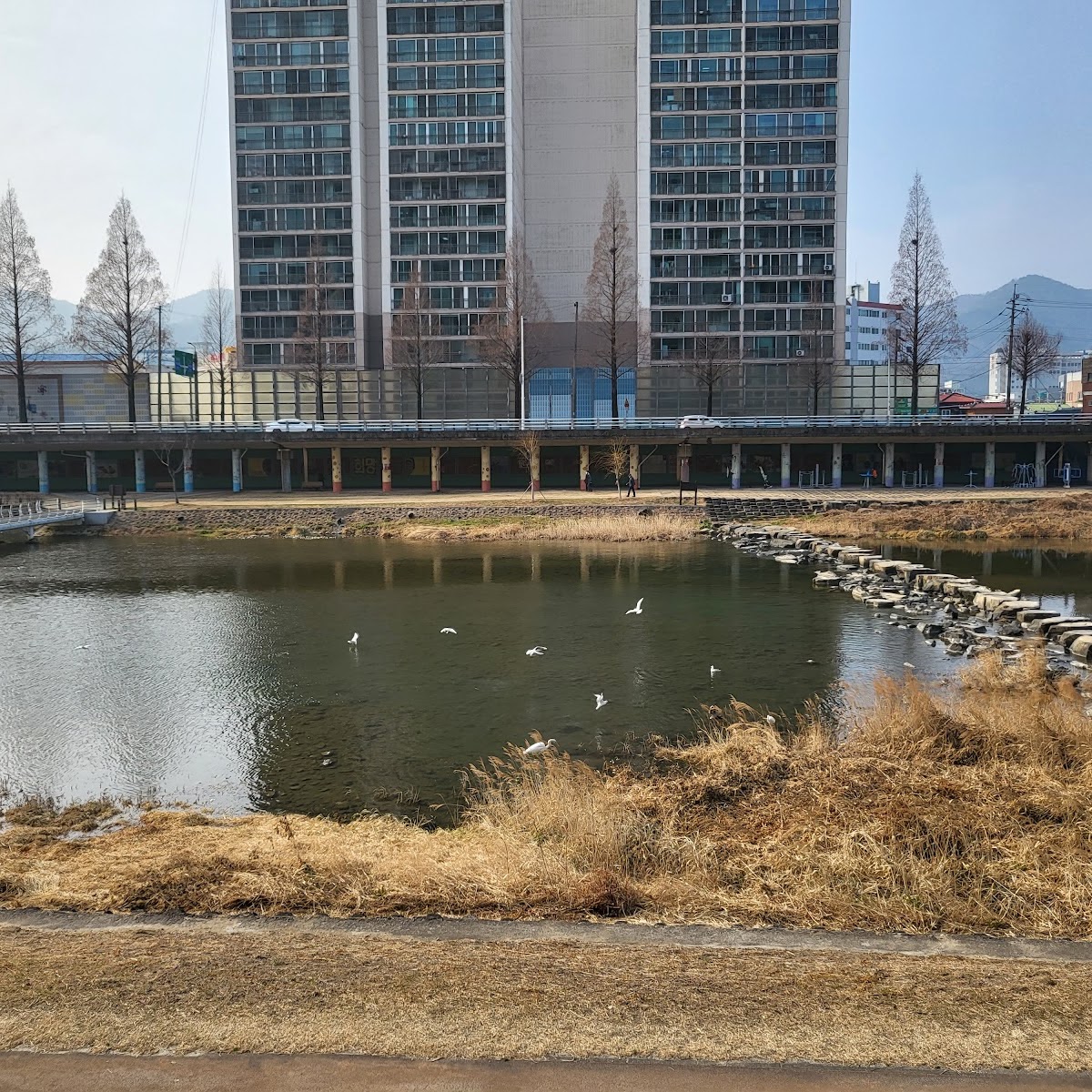 순천동천