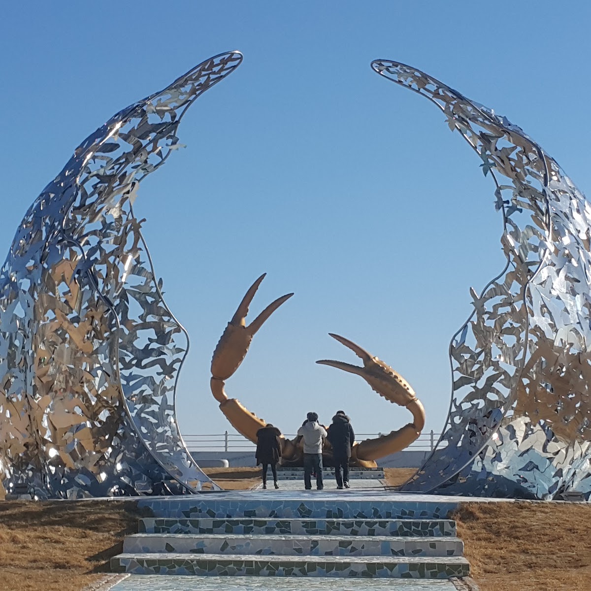 강구항