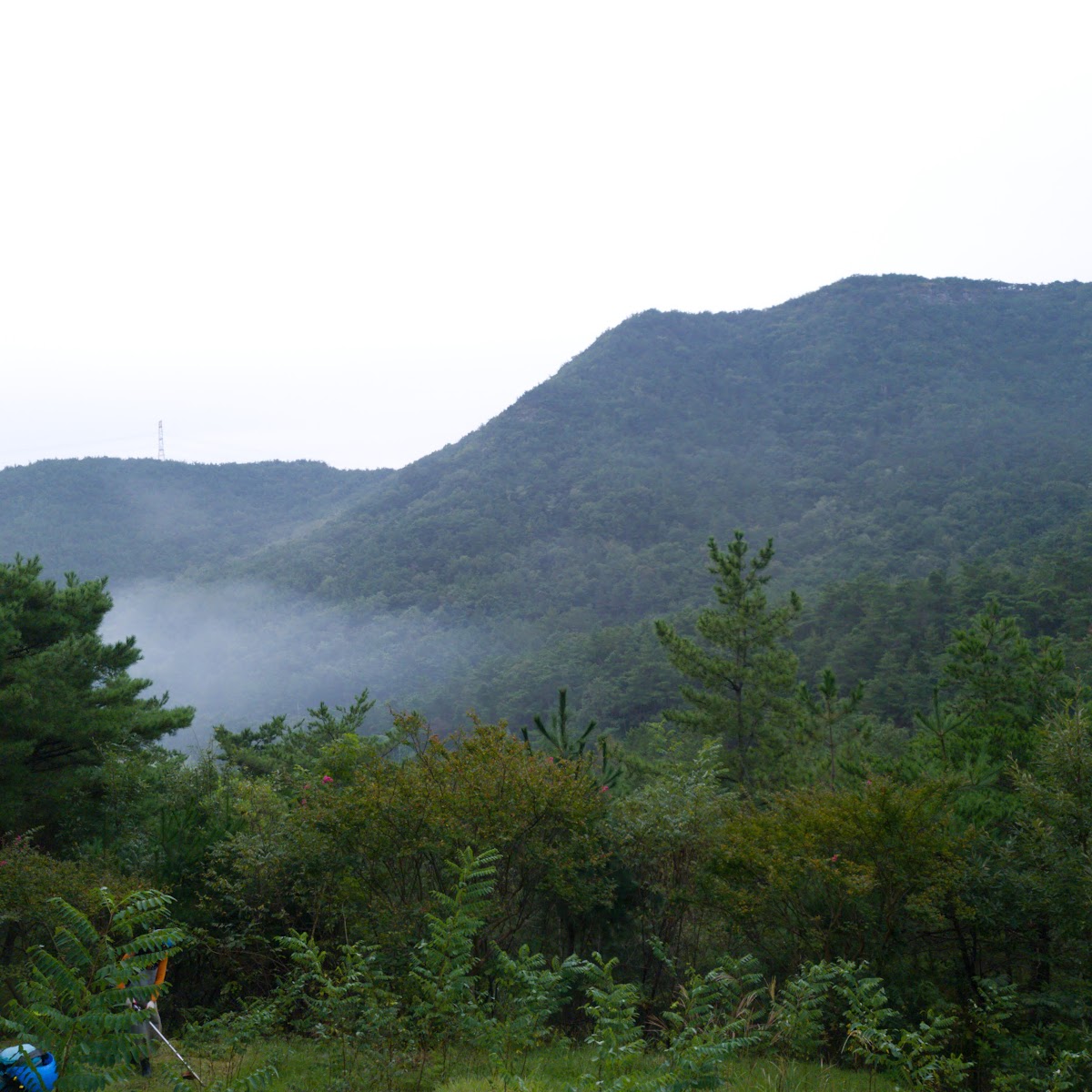 천생산성산림욕장
