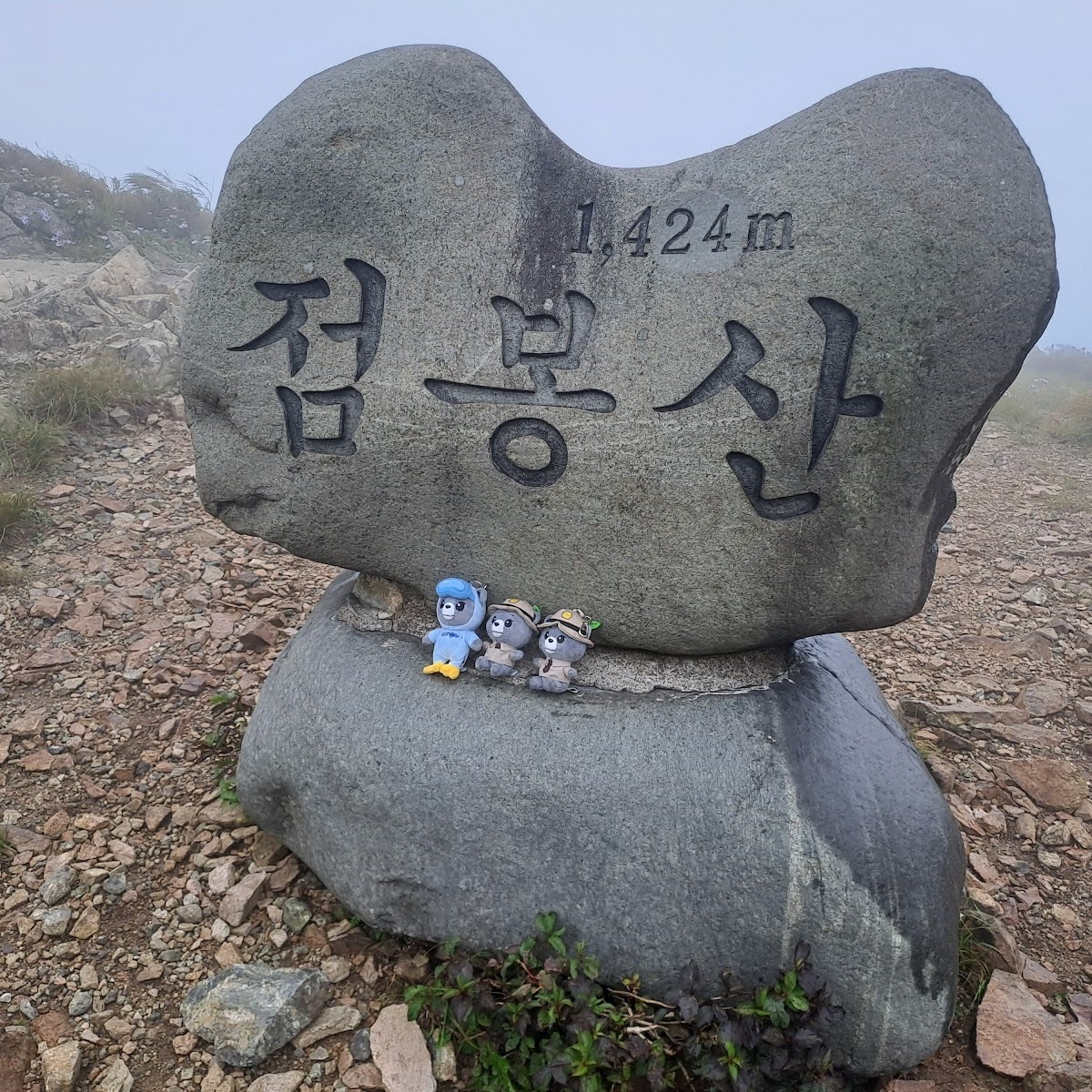 점봉산