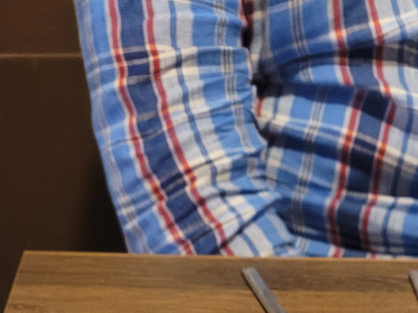 구이마루