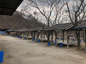 불타는오리