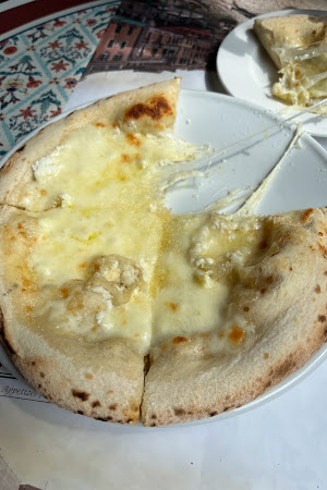 비니에올리