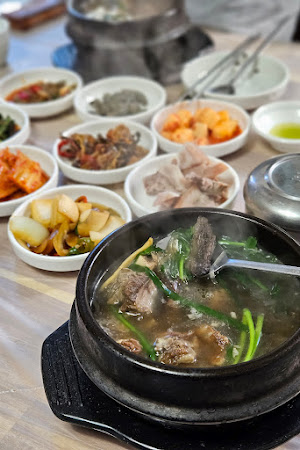 솔뫼능이버섯