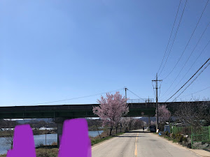 시골밥상