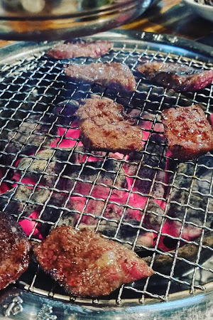 오늘아침잡은소