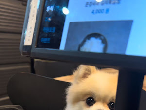 초계한우