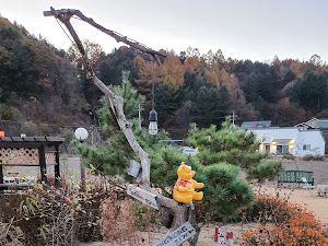 푸우의정원