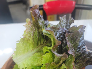 현완단겸 상추튀김 양림점