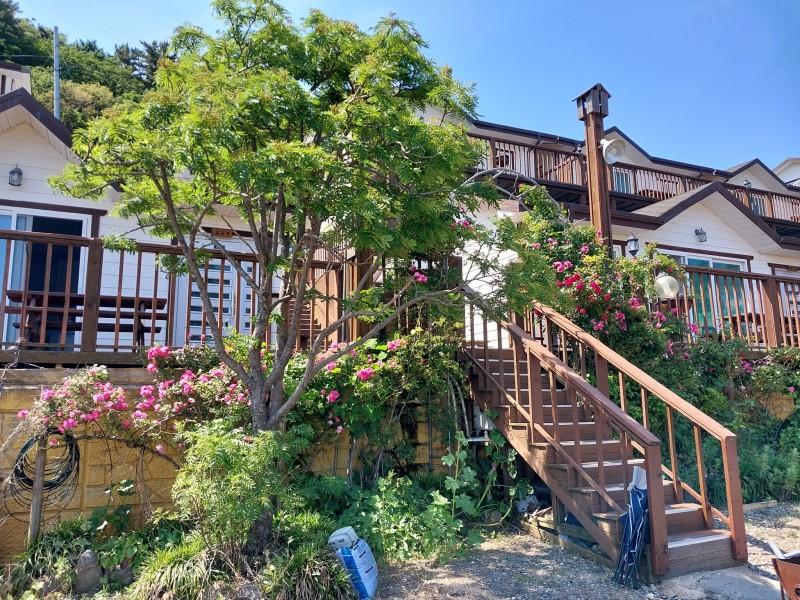 울릉도 명가펜션 (Ulleungdo Myeongga Pension)