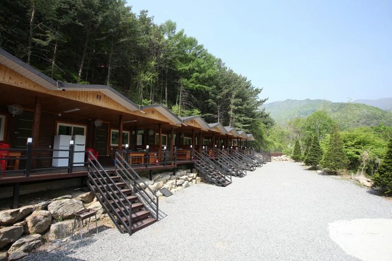 영주 소백산 비로오토파크캠핑&펜션 (Yeongju Sobaeksan Biro Auto Park Camping & Pension)